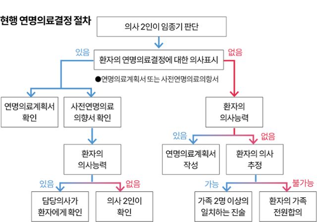 현행 연명의료결정법에 따른 연명의료결정 절차. 그래픽=이지원 기자