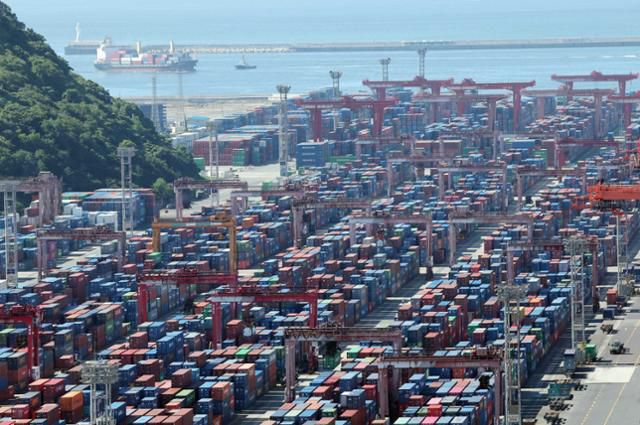1일 부산 남구 신선대부두 야적장에 수출입 컨테이너가 쌓여 있다. 부산=뉴시스