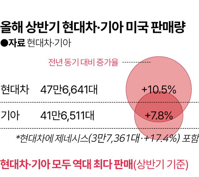 그래픽=김대훈 기자