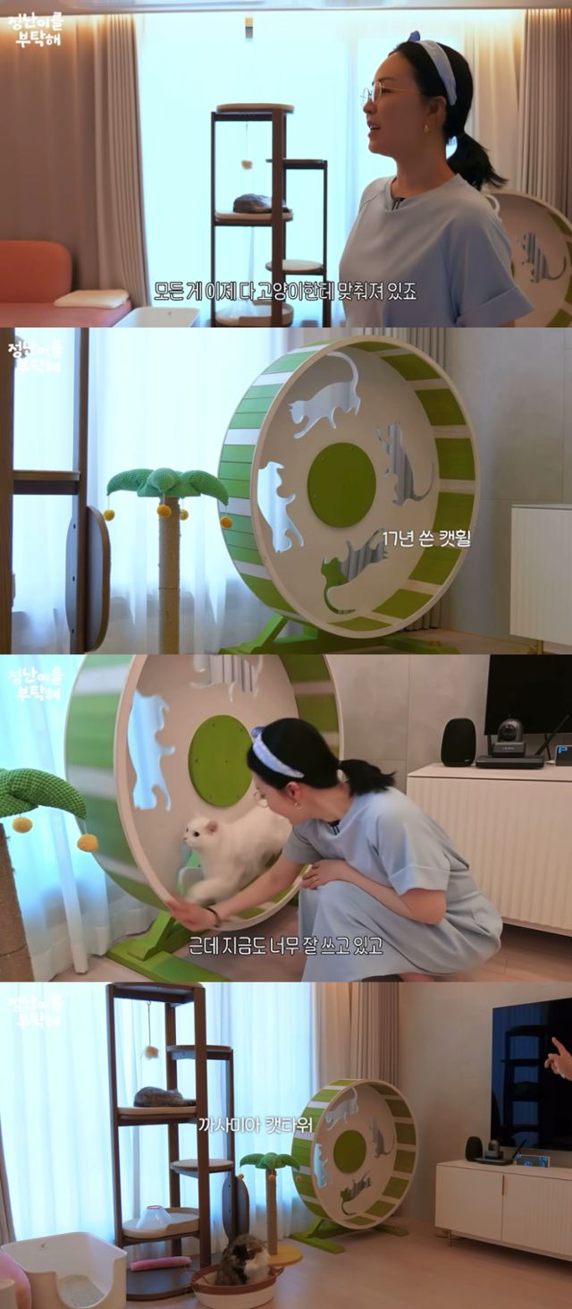 배우 김정난이 공개한 거실. 인테리어가 고양이의 생활 반경에 맞춰져 있다. 유튜브 '정난이를 부탁해' 캡처
