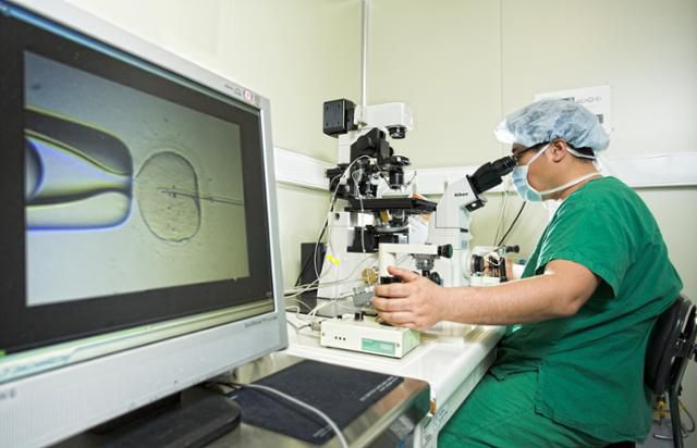 난임 부부의 남편으로부터 받은 정자를 시험관에서 과배란을 유도해 채취한 난자와 인공적으로 수정하는 ‘시험관 아기 미세조작술’을 의료진이 시행하고 있다. 제일병원 제공