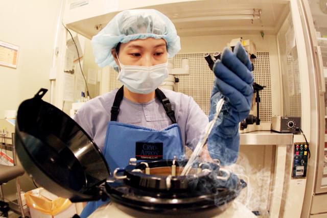 한 연구원이 영하 196도의 액체질소 탱크 속에 성인 남성으로부터 채취한 정자를 넣고 있다. 냉동보관에 들어간 정자는 필요한 시점에 해동해 인공수정, 시험관 아기 수술 등 보조생식술 등에 사용할 수 있다. 제일병원 제공