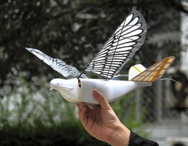 중국이 개발한 비둘기 드론. X 캡처