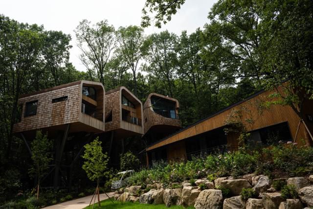 서울 노원구 자연휴양림 '수락휴' 내에 있는 트리하우스. 철골 구조 위에 나무 집을 설치했다.