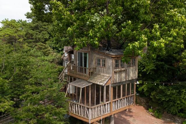 경기 평택시 '트리하우스'의 '상수리집'.