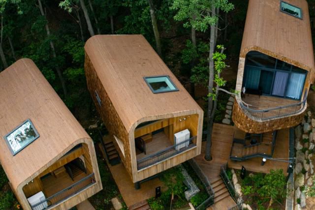 서울 노원구 자연휴양림 '수락휴' 내 트리하우스.