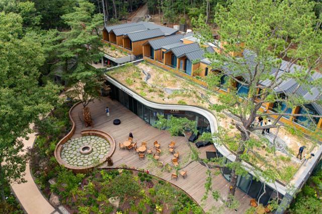 서울 노원구 자연휴양림 '수락휴' 내 햇살정원.