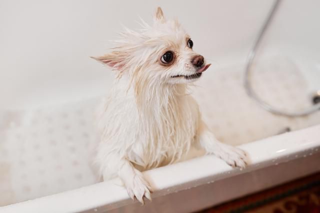 게티이미지뱅크