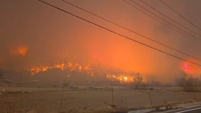 3월 25일 안동시 일직면 남안동 나들목(IC) 인근에서 산불이 번지고 있다. 독자 제공