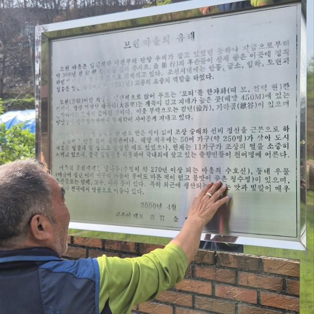 강석구씨가 5월 8일 안동시 길안면 대곡2리 모티마을에서 마을 소개가 적힌 안내판을 짚고 있다. 안동=김나연 기자