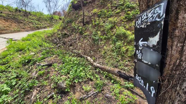 안동시 길안면 대곡2리 산길에 '대곡농원'을 가리키는 팻말이 세워져 있다. 강석구씨가 2020년 귀농하면서 직접 글씨를 써서 걸어둔 팻말이다. 안동=김나연 기자