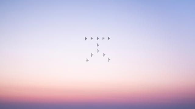 날아 오르는 비둘기의 모습을 ㅈ 형태로 배열한 작품. 문선희 작가 제공