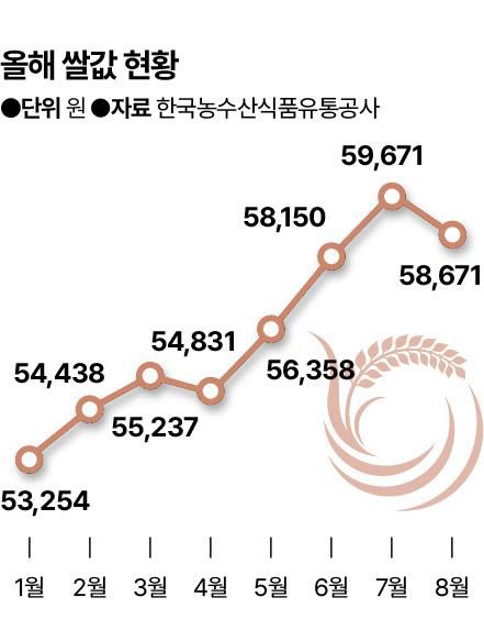 올해 쌀값 현황. 그래픽=신동준 기자해 쌀값 현황. 그래픽=신동준 기자