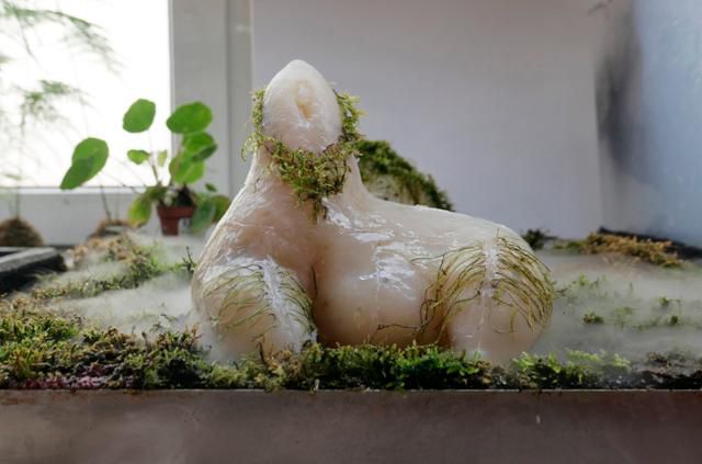 추수의 '아가몬'은 우뭇가사리 위에 자라나는 이끼를 길러내는 조각 설치물로 디지털공간의 미감을 바탕으로 만들어낸 생명체로 취급한다. 국립현대미술관 제공