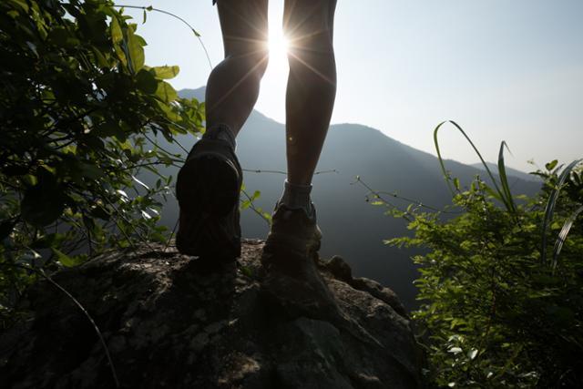 ⓒ게티이미지뱅크