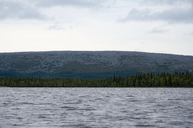키틸라 아에케누스호변의 펠.