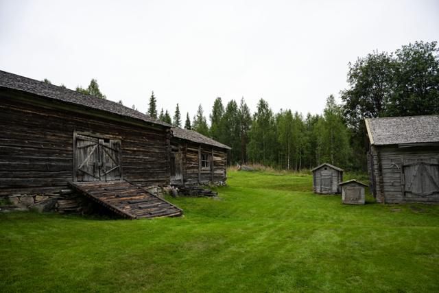 새레스퇴니에미 미술관 부지 내 작가의 생가와 뒤로 보이는 숲.
