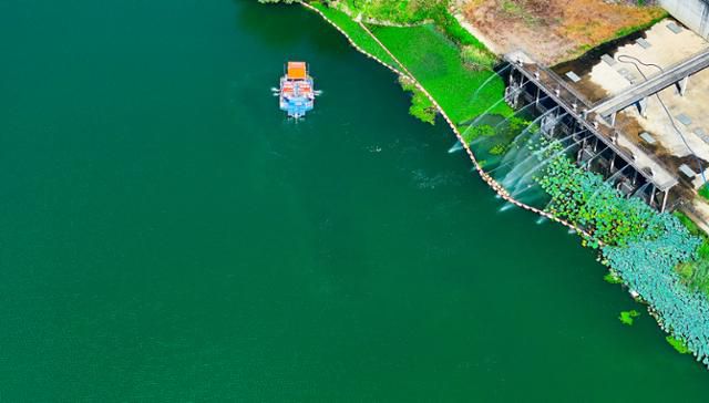 더위가 이어진 지난달 29일 대구 달성군 죽곡취수장 인근 낙동강에 녹조가 발생하여 조류경보 '경계'단계가 발령된 가운데 녹조제거선이 운영되고 있다. 연합뉴스