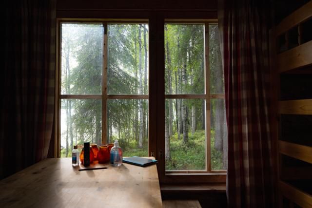 키틸라 아에케누스호변의 뫼끼 안에서 바라본 숲의 모습.