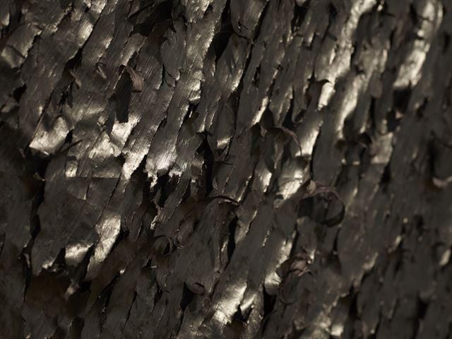 최병소의 '무제 017' 표면. 뮤지엄 산 제공