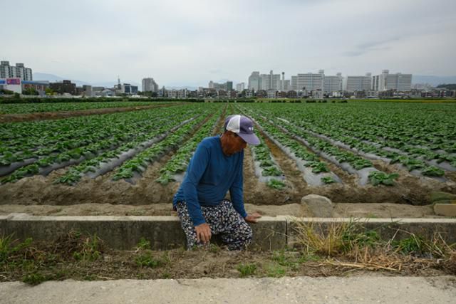 강릉 송정동 농민 김진상씨가 말라붙은 관개 수로에 걸터앉아 바닥을 바라보고 있다. 강릉=하상윤 기자