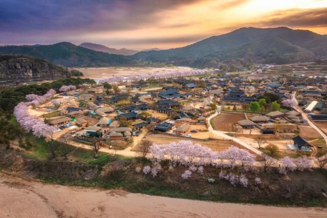 한국관광공사가 촬영한 경북 안동시 하회마을 전경. 한국관광공사 제공