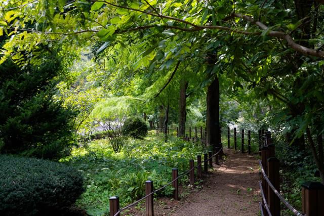 서울대학교 관악(안양)수목원 참나무길의 초입.