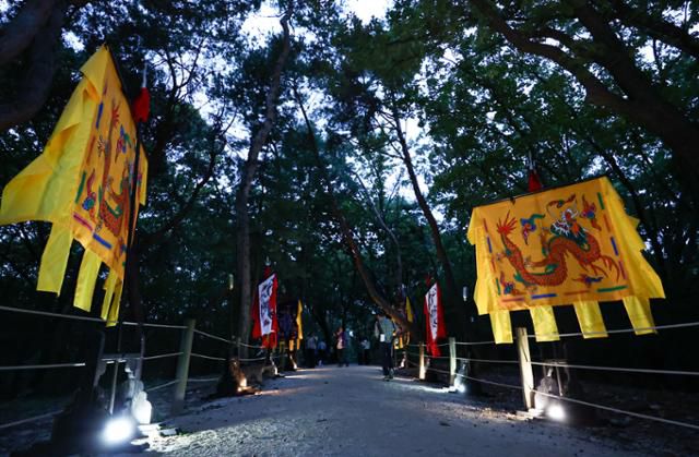 '2025 세계유산 조선왕릉축전' 기간 선릉과 정릉 사이 숲길에서 진행되는 '왕가의 산책' 미디어아트 전시 모습. 뉴시스