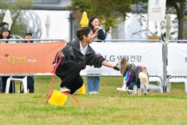 18일 서울 서초구 반포한강공원에서 제2회 서울 동물보호의 날 기념행사 동물행복페스타 '견생 2회차 장기자랑'에 참가한 보호자와 반려견이 기뻐하고 있다. 임지훈 인턴기자