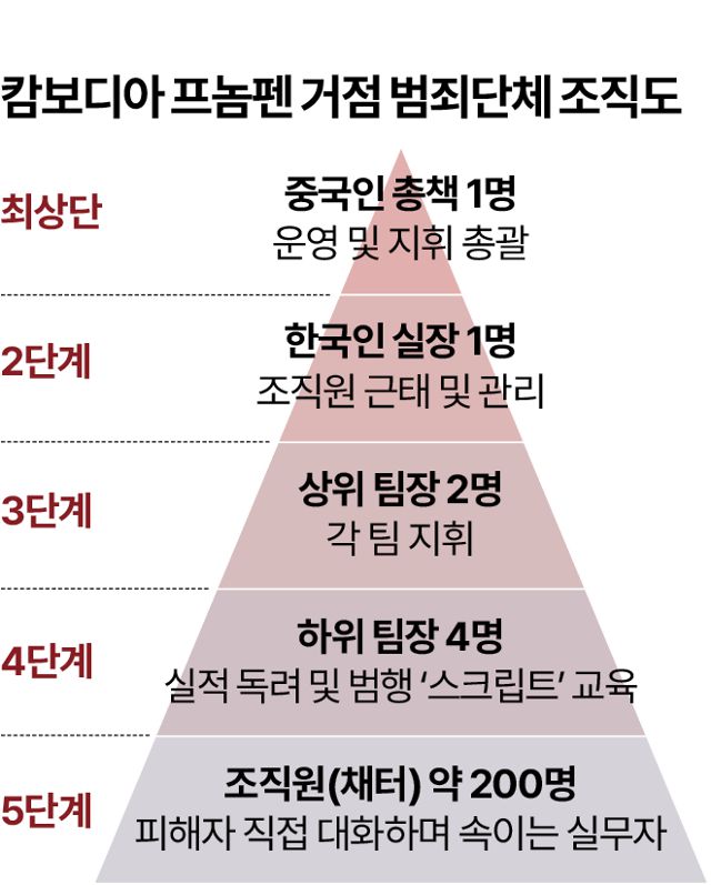 캄보디아 프놈펜 거점 범죄단체 조직도. 그래픽=박종범 기자