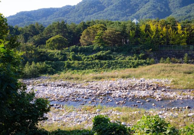상도문 돌담마을 제방길에서 내려다본 쌍천에 흰 돌이 가득하다.