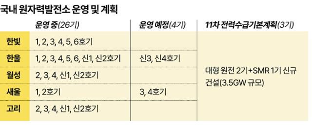 그래픽=강준구 기자