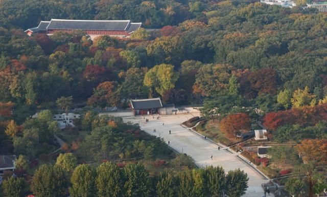 6일 서울 종로구 종묘 모습. 뉴시스