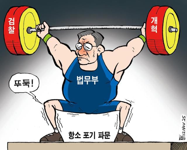 11월12일자 만평