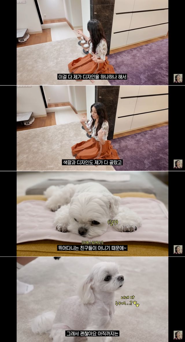 '매일 맥주 마시면서 52kg 유지하는 반백살 한고은 근황 (청담동 집, 남편, 30년 차 견주의 삶)' @유튜브 고은언니 한고은 캡처