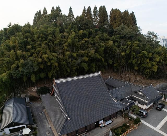 동국사는 일본 사찰 특유의 높고 깊은 경사의 지붕이 얹혀 있다.