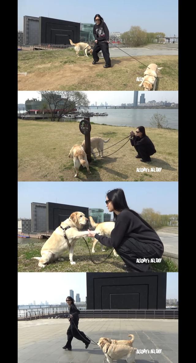 문트리버들과 즐거운 시간을 보내는 애니 @ ALLDAY's ALL DAY '애니와 리트리버들' 캡처