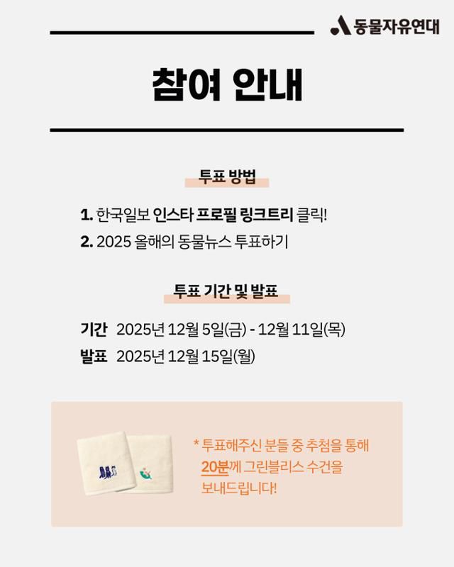 올해의 동물뉴스. 동물자유연대 제공