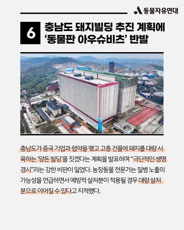 올해의 동물 뉴스. 동물자유연대 제공