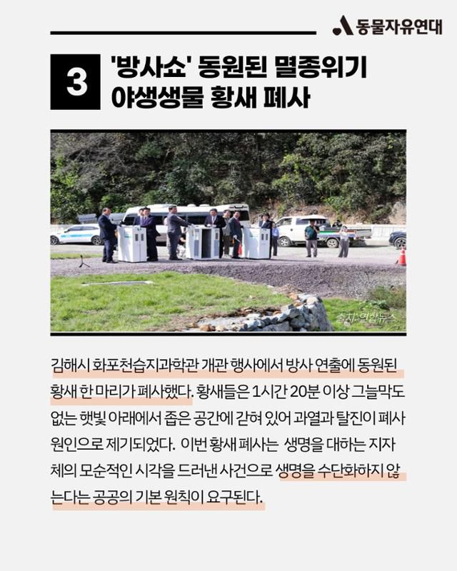 올해의 동물 뉴스. 동물자유연대 제공