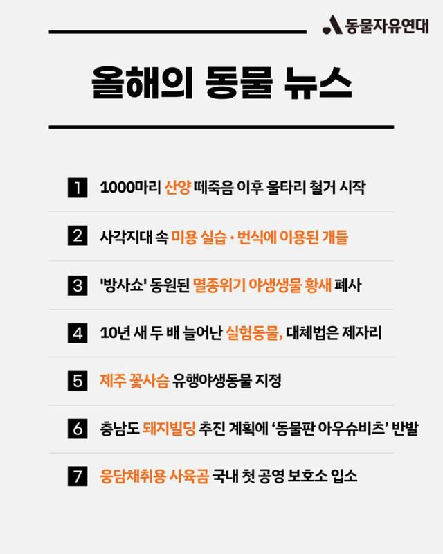 올해의 동물 뉴스. 동물자유연대 제공