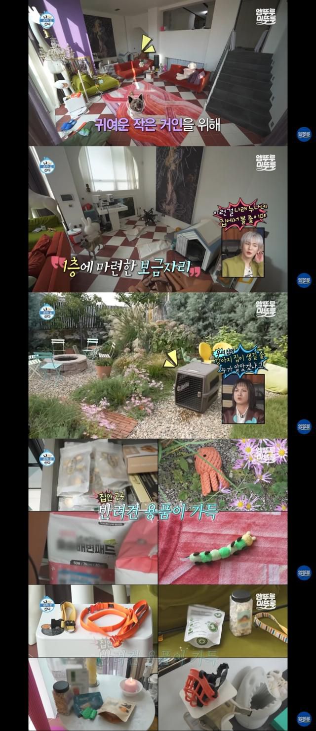 반려견 '복돌이'와의 반려생활 이후 박나래 씨는 1층에 복돌이를 위한 반려용품과 전용 공간을 마련했다. 유튜브 '엠뚜루마뚜루' 캡처