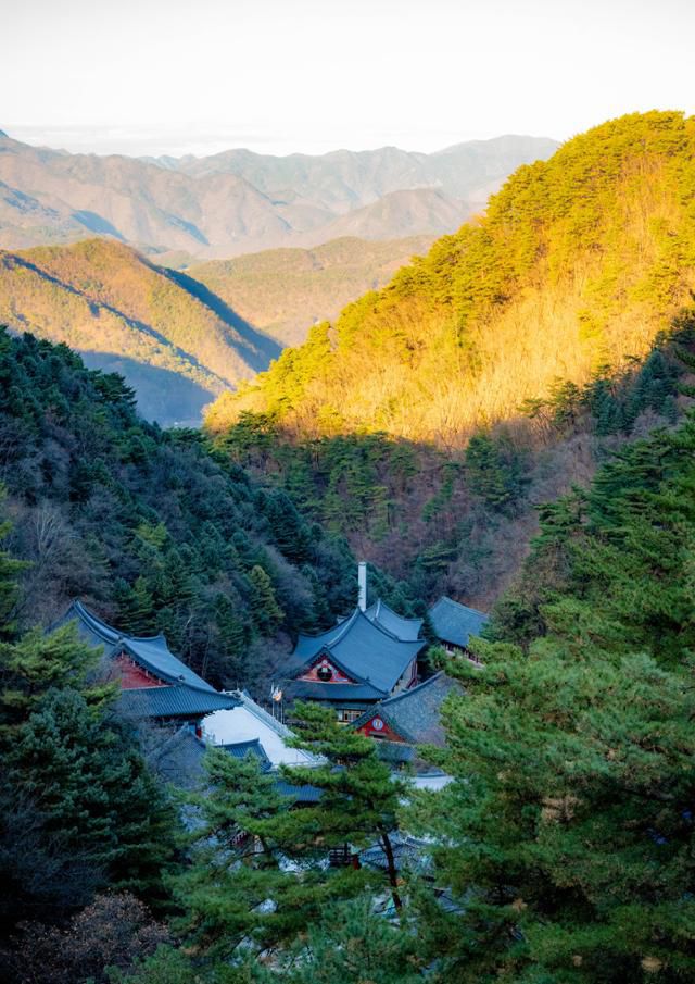 구인사의 정상격인 대조사전 마당에서 촬영한 경내 모습.