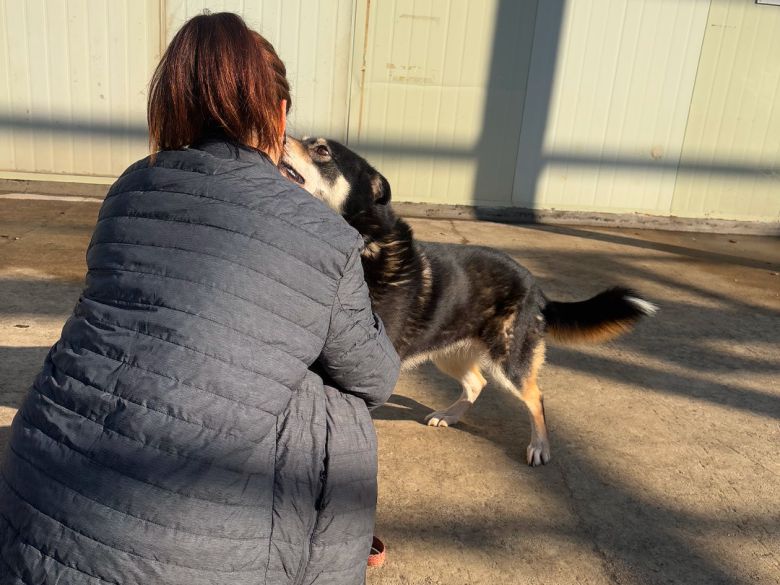 사람의 손길을 좋아하는 스퀘어. 활동가들은 스퀘어가 위탁처가 아닌 한 가정의 반려견으로 살아갈 날이 빨리 오면 좋겠다고 말한다. 동물권행동 카라 제공