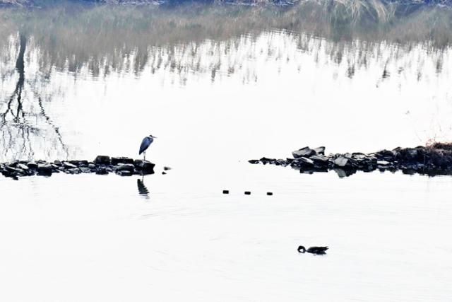 정적이 흐르는 우포늪의 겨울은 시간마저 숨을 죽인 조용한 풍경을 만들고 있다. 창녕=왕태석 선임기자
