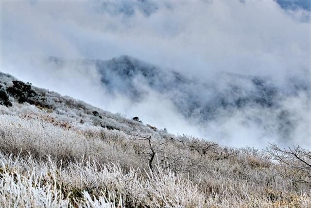 이른 새벽 덕유산 정상 향적봉으로 운해가 밀려왔다. 바람이 빨리 지나간 뒤 향적봉 주변은 서리꽃으로 온통 하얗게 변했다. 무주=왕태석 선임기자