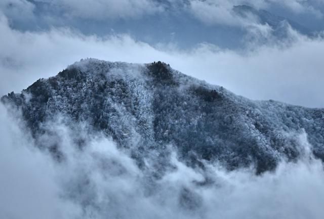 이른 새벽 덕유산 정상 향적봉으로 운해가 밀려왔다. 바람이 빨리 지나간 뒤 향적봉 주변은 서리꽃으로 온통 하얗게 변했다. 무주=왕태석 선임기자