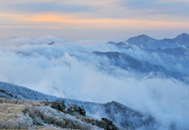 이른 새벽 덕유산 정상 향적봉으로 운해가 밀려왔다. 바람이 빨리 지나간 뒤 향적봉 주변은 서리꽃으로 온통 하얗게 변했다. 무주=왕태석 선임기자