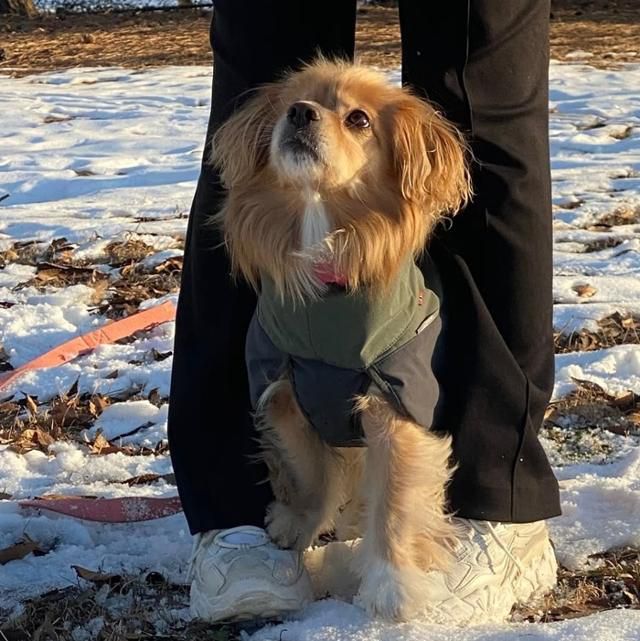 매우 쉬워보이지만, 이 동작을 하기까지 1년이 걸렸어요!! 보호자 제공