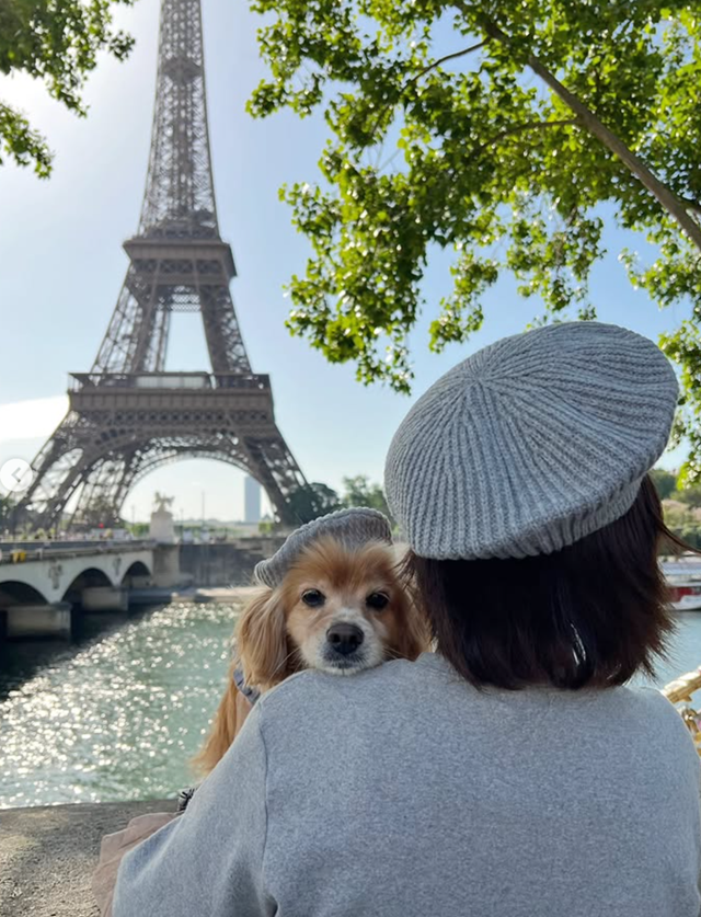 망고야, 인생샷을 얻었어! 웃어봐~ 보호자 제공